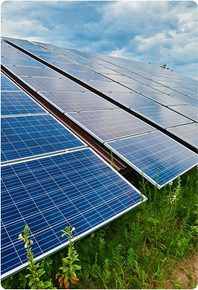 Panel Field Utility Scale Farm