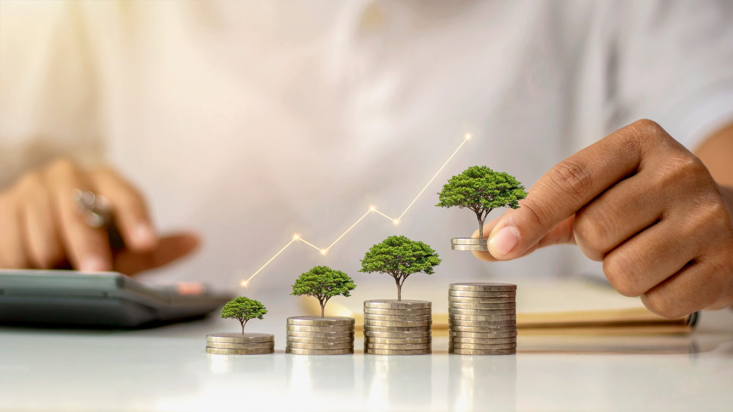 Wealth Building