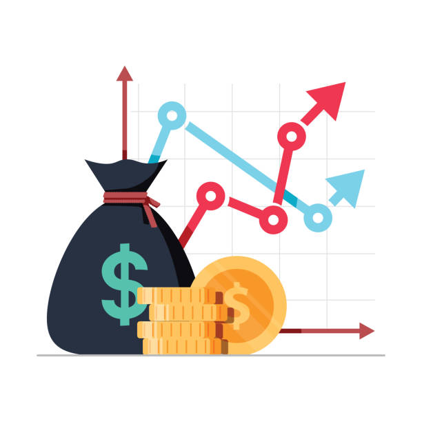 Term Loans